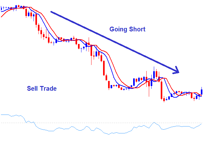 How Do I Setup a Sell Stock Indices Trade - Going Short