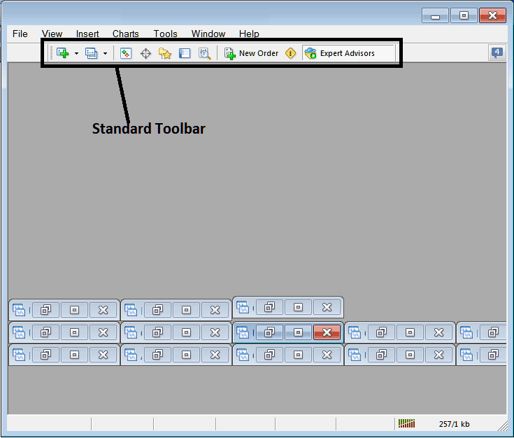 MT4 Standard Toolbar and Tools on The MT4 Indices Trading Platform Interface
