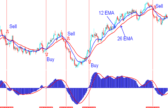 MACD Indices Technical Indicator