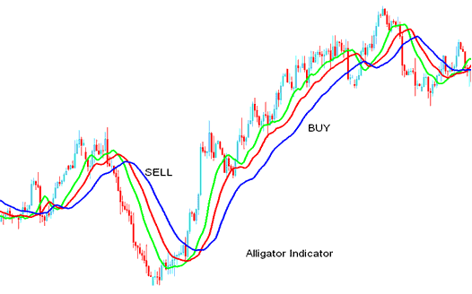 the Alligator Indices Indicator - Alligator Indicator Analysis - Alligator Indicator