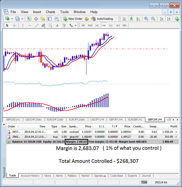 Used Indices Trading Margin and Free Indices Trading Margin in Indices Trading - Example of Used Indices Trading Margin and Free Indices Trading Margin in MT4