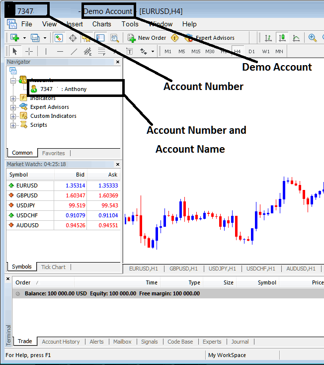 Account Name and Account Number on MT4 Account - Stock Index MetaTrader 4 Trading Account Login - MetaTrader 4 Stock Index Account Sign In