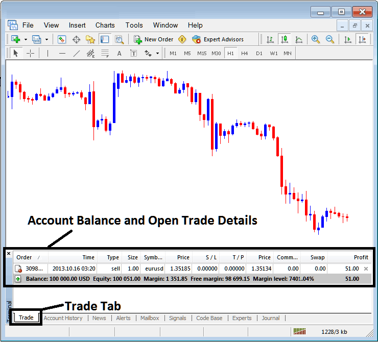 Account Balance and Open Trade Details on MT4 Terminal - MetaTrader 4 Stock Index Trading Transactions Tabs Panel