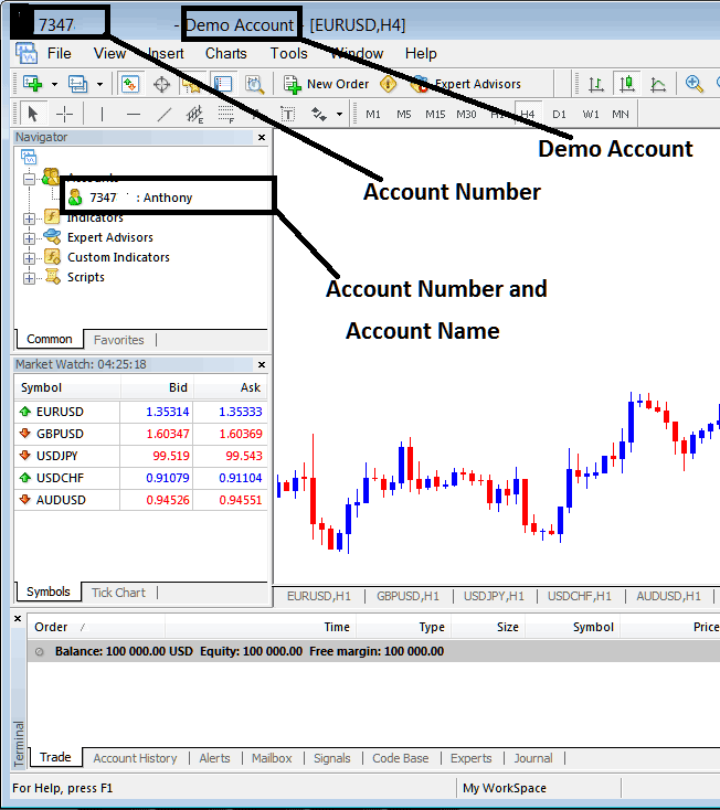 Account Name and Account Number on MT5 Account - Index Platform MT5 Login to a MT5 Index Trading Account