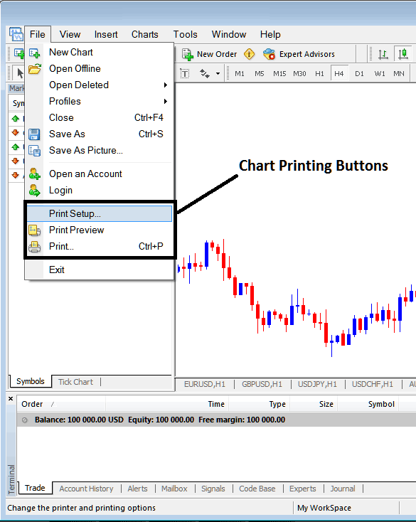 Platform MT5 Print Setup and Printing Charts on MT5