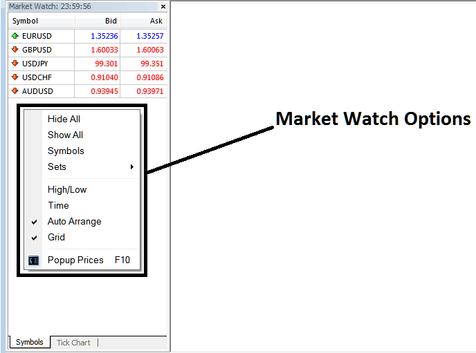 indices trading Symbols on MT5 Market Watch Window - MT5 Platform Market Watch Window for MT5 Platform Symbols List