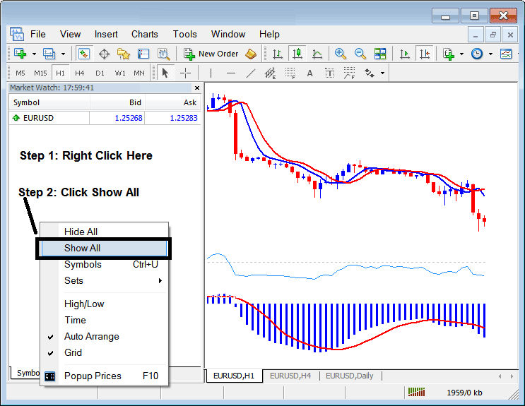 How to Display and Show all the Trading Instrument Symbols Available List of Trading Instruments