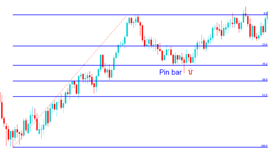 Pin Bar Indices Price Action Combined with Fibonacci Retracement - Pin Bar Indices Price Action Trading Method and Pin Bar Reversal Indices Trading Signals Examples Explained