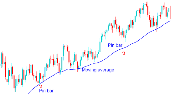 Pin Bar Indices Price Action Combined with Moving Averages