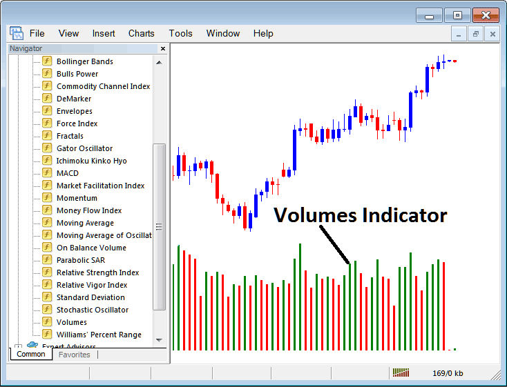 How Do I Trade Indices with Volumes Indicator on MT5? - Place MetaTrader 5 Volumes Indicator on Indices Chart in MetaTrader 5